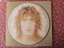 ROGER DALTRY. DALTREY. LP ALBUM VINYL RECORD. 1973. EXCELLENT. 2406-107A.POLYDOR