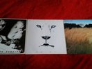 Three LPs. White Lion. Fight to Survive, Big Game, and Pride