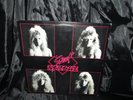 Sweet Savage Private press record 1985 VG+ Austin TX Hair Metal