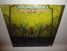 AMERICAN BLUES - Do Their Thing . LP . RARE 1968 UNI . PSYCH BLUES . ZZ TOP