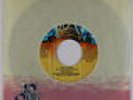 70s Soul 45 - Dells - Your Song - 20th Century Fox - NM mp3