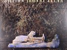 FLYNN, Johnny - Sillion - Vinyl (LP + insert + MP3 download code)
