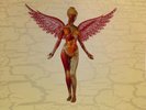 NIRVANA lp In Utero clear vinyl DGC 24607