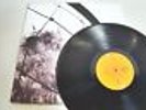 PEARL JAM - VS. - 2011 180 GRAM-LP/Vinyl/Record