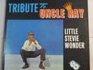 Little Stevie Wonder 