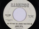 Northern Soul 45 - Jimmie Raye - You Must Be Losing Your Mind - Garrison - mp3
