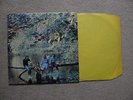 NM/EX++ 1971 UK APPLE LP WINGS WILD LIFE PAUL MCCARTNEY EX THE BEATLES