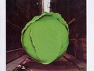 The Meters - Cabbage Alley - Sealed LP Record