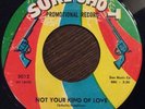 The Bell Brothers, Don't You Know She's Alright 45, 1965 FUNK Sure-Shot 5012