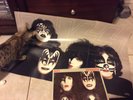 kiss dynasty lp