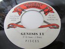 PISCES RARE GARAGE PSYCH 45 ON VINCENT LABEL GENESIS II B/W THE CARNIVAL SHOW