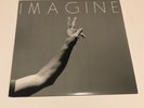 Pearl Jam - Imagine Pendulumorphosis Ten Club 2014 Vinyl 45 Single LP 7