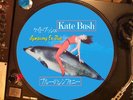 KATE BUSH - Symphony In Blue  12