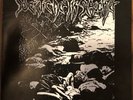 SDS Never Arise 7