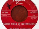 HUMAN EXPRESSION - SWEET CHILD OF NOTHINGNESS - ACCENT 45 -GARAGE / PSYCH  - '67