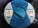 Rare Canada Garage Rock 45 : The Townsmen   Funny How Love Can Be   Regency 970