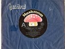 MATT TAYLOR - I REMEMBER WHEN I WAS YOUNG - 7