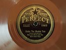 MISS LEE MORSE & HER BLUE GRASS BOYS Under the Ukulele Tree PERFECT 11613 E/E+