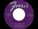 NYC DOO-WOP BALLAD-BROOKLYN BOYS-FERRIS-902-IF SHE SHOULD CALL/EVERY NIGHT