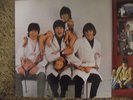 The Beatles - Rarities {SHAL 12060} *NM VINYL* *GATEFOLD* *PICTURE SLEEVE*