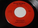 JAMES FOUNTAIN Seven Day Lover PEACHTREE 127 Orig 1970 SOUL 45 KILLER  RARE