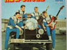The Spotnicks NEAR MINT metronome 2001 Vinyl LP
