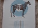 RARE Mumford and & Sons - 2011 poster TORONTO AIR CANADA , LIMITED PRINT 140/200