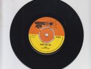 BIG SHOT/ BLOOD AND FIRE  -  NINEY  -  MUD AND WATER  (71 REGGAE ROOTS 7