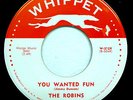 The ROBINS 45 You Wanted Fun / Snowball 1957 Doo Wop WS1533