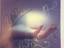 SPOON fully signed Lp vinyl THEY WANT MY SOUL (wilco the shins menomena walkmen)