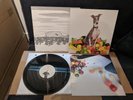 Shellac ?- Excellent Italian Greyhound Vinyl LP + CD NM