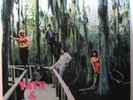 Yays & Nays  Neo 4228/4229  S/T  1968 Folk Hippie Rock Rarity  Pokora 6 Stars
