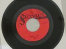 Lani Power Surge Rare Private Punk Metal Hard Rock Garage 45 Sherwood KY 1981
