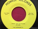 UNKNOWN IV   I WANT YOU TO BE MINE/HAPPINESS HOWELL RECORDS NC RARE GARAGE 45 EX