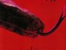 COOPER, Alice - Killer - Vinyl (LP)