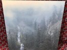 Wolves in the Throne Room 