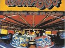 The Waterboys : Room to Roam VINYL 12
