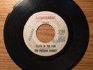 LOUISIANA GARAGE 45 THE PERSIAN MARKET FLASH IN THE PAN LIGHTNING 103
