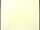 Bon Iver - For Emma, Forever Ago 10 Year Anniversary Tour Press New