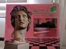 Macintosh Plus Floral Shoppe Bubblegum Pink Vinyl Vaporwave Grail Vektroid MAC +