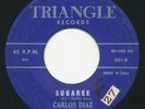CARLOS DIAZ Sugaree TRIANGLE Obscure Raw Florida Rockabilly / Doo Wop 45 Hear