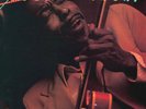 Buddy Guy - Stone Crazy - NEW SEALED 180g LP w/ Phil Guy his great 1979 album