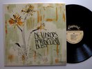 DEW DROPS & DANDELION DUST s/t - private femme folk psych loner school project