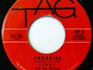 LENNY & THE CHIMES 45 Paradise/My Love TAG doo wop VG+ ws1363