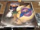 RARE KSHE Record Vinyl Homegrown Rock N Roll St Louis 1980 Seeds
