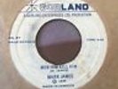 DIGI reggae 45 MARK JAMES Mob Him Kill Him GORLAND dancehall HEAR