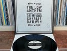 THE LOW ANTHEM - OH MY GOD, CHARLIE DARWIN PSYCHEDELIC FOLK RSD MINT VINYL