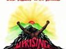 Bob Marley and The Wailers - Uprising (Limited LP) Vinyl LP Island NEW