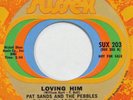 PAT SANDS & PEBBLES Loving Him / Hot Dog SUSSEX 45 northern soul HEAR