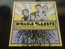 Digable Planets 2xLP Beyond the Spectrum Near Mint The Creamy Spy Chronicles